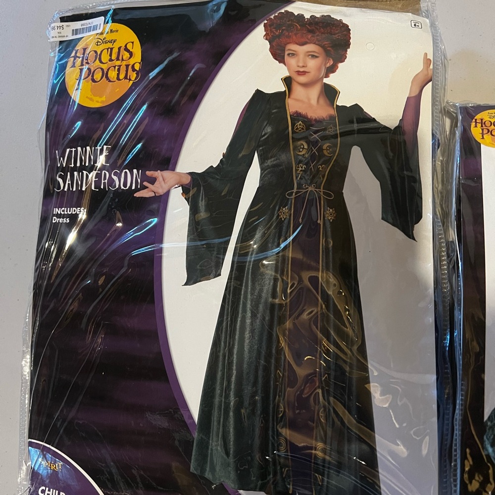 Hocus Pocus Winnie Kids Costume